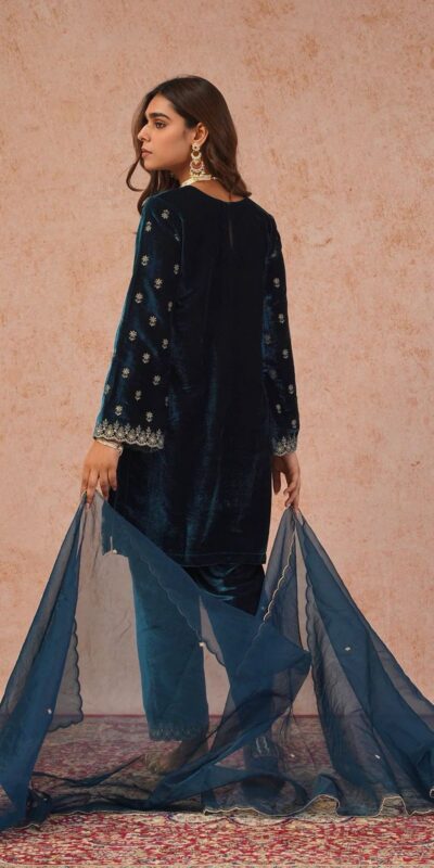 Blue Organza Embroidery Work Salwar Suit | Jump Suits, Salwar suit, Casual Suits, Creative suits, Designer Suits, Palazzo Suits, Party Wear Suits, Patiala Suits, Straight Suits