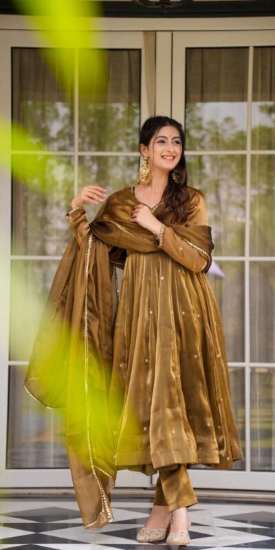 Brown Organza Silk Border Lace Work Salwar Suit | Jump Suits, Salwar suit, Casual Suits, Creative suits, Designer Suits, Palazzo Suits, Party Wear Suits, Patiala Suits, Straight Suits
