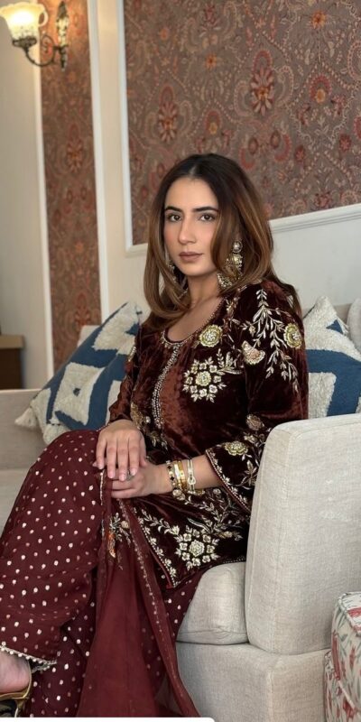 Brown Soft Organza Lace Embroidery Work Salwar Suit | Jump Suits, Tops & Bottoms, Track Suits, Salwar suit, Casual Suits, Creative suits, Designer Suits, Palazzo Suits, Party Wear Suits, Patiala Suits, Straight Suits, Trendy Wear