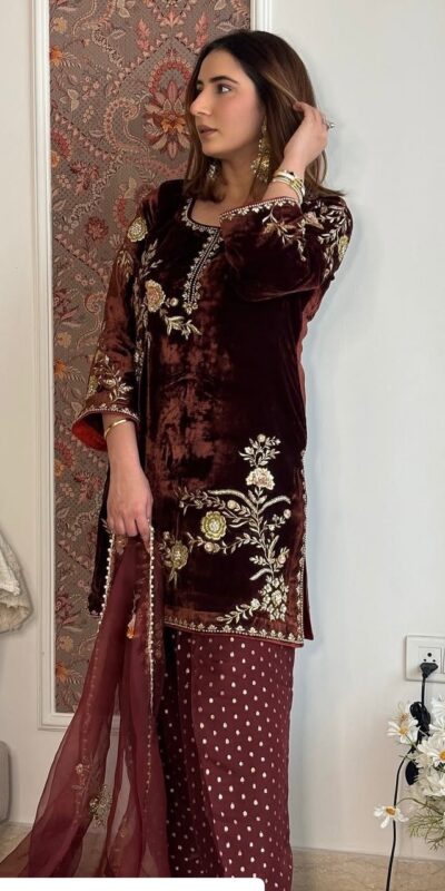 Brown Soft Organza Lace Embroidery Work Salwar Suit | Jump Suits, Tops & Bottoms, Track Suits, Salwar suit, Casual Suits, Creative suits, Designer Suits, Palazzo Suits, Party Wear Suits, Patiala Suits, Straight Suits, Trendy Wear