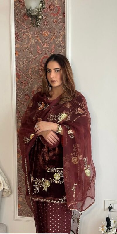 Brown Soft Organza Lace Embroidery Work Salwar Suit | Jump Suits, Tops & Bottoms, Track Suits, Salwar suit, Casual Suits, Creative suits, Designer Suits, Palazzo Suits, Party Wear Suits, Patiala Suits, Straight Suits, Trendy Wear