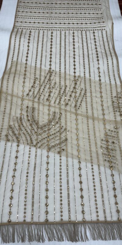 Chiku Mono Net Sequins Saree | Sarees, Bollywood Sarees, Creative Sarees, Designer Sarees, Embroidered Sarees, Ethnic Saree, Modern Digital sarees, Party Wear Sarees