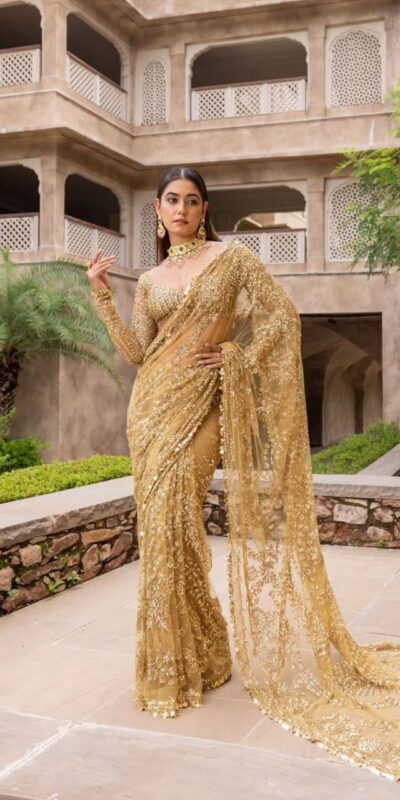 Chiku Nylon Butterfly Net Border Lace Work Saree | Sarees, Bollywood Sarees, Creative Sarees, Designer Sarees, Embroidered Sarees, Ethnic Saree, Modern Digital sarees, Party Wear Sarees