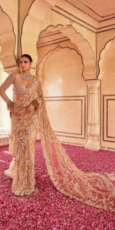 Gold Mono Net Embroidery Print Saree | Sarees, Bollywood Sarees, Creative Sarees, Designer Sarees, Embroidered Sarees, Ethnic Saree, Modern Digital sarees, Party Wear Sarees