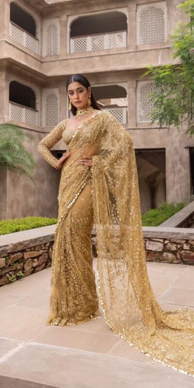 Golden Mono Net Embroidery Work Saree | Sarees, Bollywood Sarees, Creative Sarees, Designer Sarees, Embroidered Sarees, Ethnic Saree, Modern Digital sarees, Party Wear Sarees