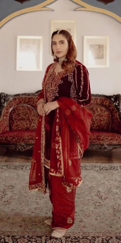 Maroon Organza Embroidery Work Salwar Suit | Jump Suits, Salwar suit, Casual Suits, Creative suits, Designer Suits, Palazzo Suits, Party Wear Suits, Patiala Suits, Straight Suits