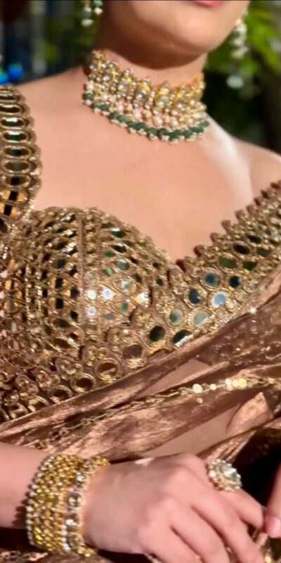 Mustered Organza Silk Mirror Embroidery Work Saree | Sarees, Bollywood Sarees, Creative Sarees, Designer Sarees, Embroidered Sarees, Ethnic Saree, Modern Digital sarees, Party Wear Sarees