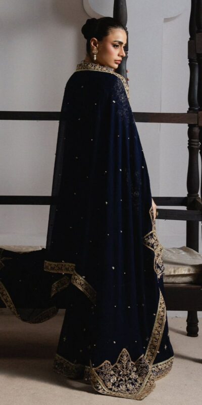 Navy Blue Organza Silk Sequence Work Salwar Suit | Jump Suits, Salwar suit, Casual Suits, Creative suits, Designer Suits, Palazzo Suits, Party Wear Suits, Patiala Suits, Straight Suits