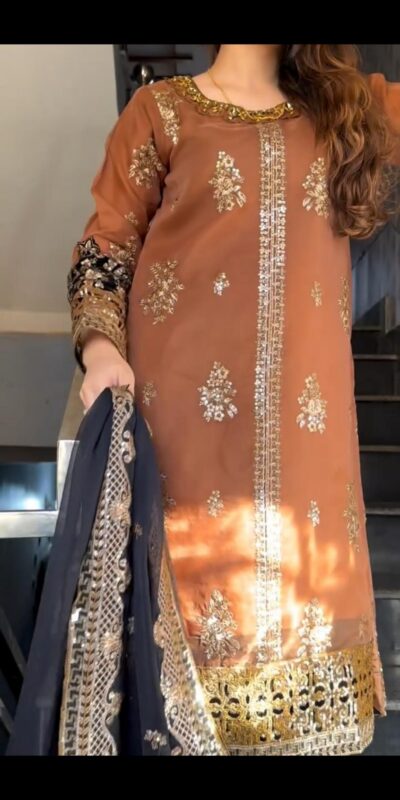 Orange Nylon Twil Net Embroidery Work Salwar Suit | Jump Suits, Salwar suit, Casual Suits, Creative suits, Designer Suits, Palazzo Suits, Party Wear Suits, Patiala Suits, Straight Suits