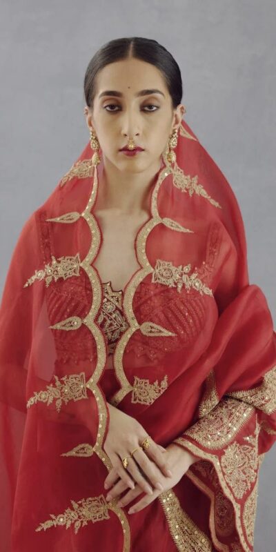 Red Organza Tissue Sequins Work Embroidery Saree | Sarees, Bollywood Sarees, Creative Sarees, Designer Sarees, Embroidered Sarees, Ethnic Saree, Modern Digital sarees, Party Wear Sarees