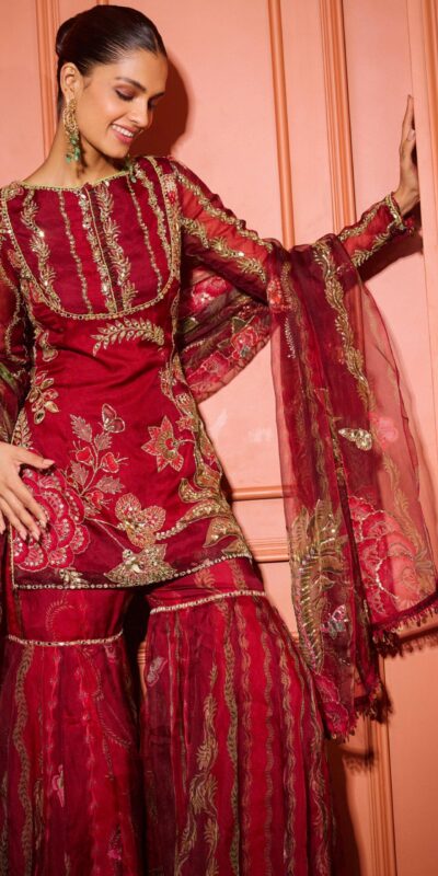 Red Soft Organza Embroidery Mirror Work Salwar Suit | Jump Suits, Salwar suit, Casual Suits, Creative suits, Designer Suits, Palazzo Suits, Party Wear Suits, Patiala Suits, Straight Suits