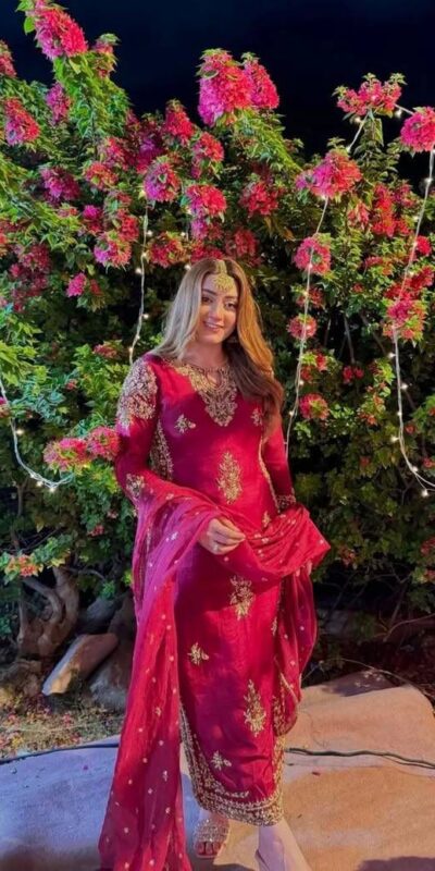 Red Vichitra Silk Embroidery Work Salwar Suit | Jump Suits, Salwar suit, Casual Suits, Creative suits, Designer Suits, Palazzo Suits, Party Wear Suits, Patiala Suits, Straight Suits