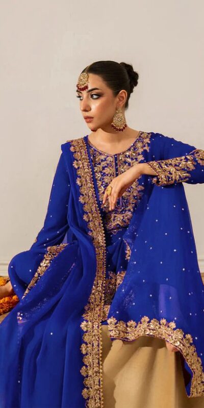 Royal Blue Faux Georgette Lace Work Salwar Suit | Jump Suits, Salwar suit, Casual Suits, Creative suits, Designer Suits, Palazzo Suits, Party Wear Suits, Patiala Suits, Straight Suits