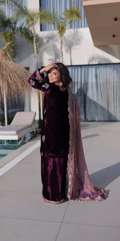 Wine Ice Velvet Embroidery Zari Work Salwar Suit | Jump Suits, Salwar suit, Casual Suits, Creative suits, Designer Suits, Palazzo Suits, Party Wear Suits, Patiala Suits, Straight Suits