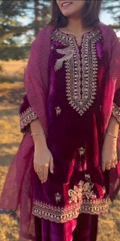 Wine Twill Net Embroidery Lace Work Salwar Suit | Jump Suits, Salwar suit, Casual Suits, Creative suits, Designer Suits, Palazzo Suits, Party Wear Suits, Patiala Suits, Straight Suits