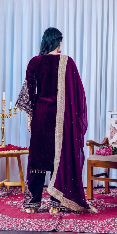 Wine Viscose Velvet Embroidery Salwar Suit | Jump Suits, Salwar suit, Casual Suits, Creative suits, Designer Suits, Palazzo Suits, Party Wear Suits, Patiala Suits, Straight Suits