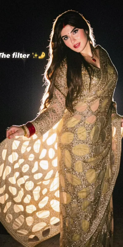DF 3489 Golden Butterfly Net Saree Sequence with Work & Zari Work. Introductory Price ₹1899. Delivery 4-6 Working Days. Shop now. | Sarees, Bollywood Sarees, Creative Sarees, Designer Sarees, Embroidered Sarees, Ethnic Saree, Modern Digital sarees, Party Wear Sarees