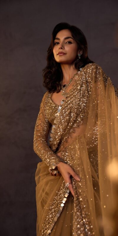 DF 3485 Chiku Butterfly Net Saree Sequence with Work & Zari Work. Introductory Price ₹1999. Delivery 4-6 Working Days. Shop now. | Sarees, Bollywood Sarees, Creative Sarees, Designer Sarees, Embroidered Sarees, Ethnic Saree, Modern Digital sarees, Party Wear Sarees