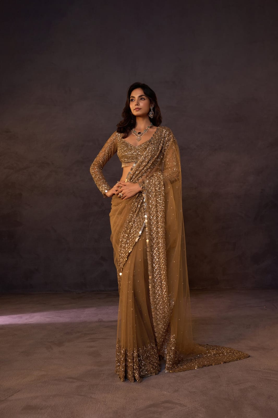 DF 3485 Chiku Butterfly Net Saree Sequence with Work & Zari Work. Introductory Price ₹1999. Delivery 4-6 Working Days. Shop now. | Sarees, Bollywood Sarees, Creative Sarees, Designer Sarees, Embroidered Sarees, Ethnic Saree, Modern Digital sarees, Party Wear Sarees