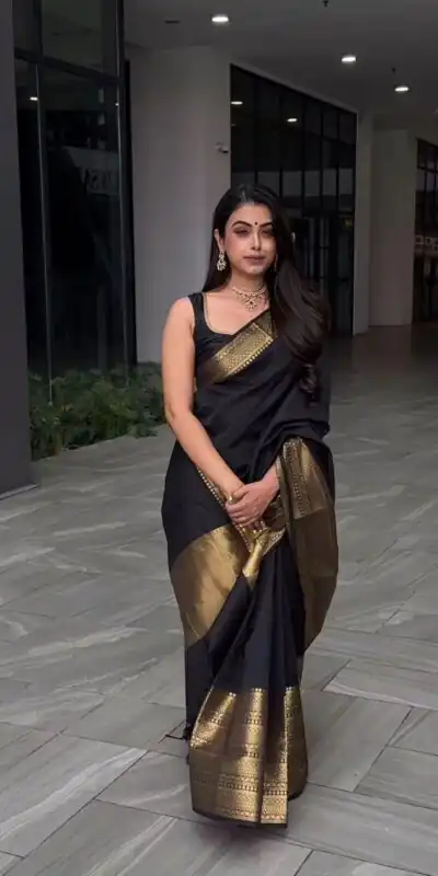 Black Jacquard Saree | Sarees, Bollywood Sarees, Creative Sarees, Designer Sarees, Embroidered Sarees, Ethnic Saree, Modern Digital sarees, Party Wear Sarees
