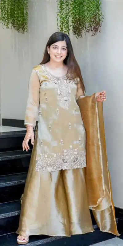 Brown Jimmy Choo Embroidery Lace Work Salwar Suit | Jump Suits, Salwar suit, Casual Suits, Creative suits, Designer Suits, Palazzo Suits, Party Wear Suits, Patiala Suits, Straight Suits