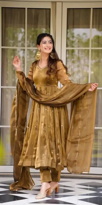 Brown Organza Silk Border Lace Work Salwar Suit | Jump Suits, Salwar suit, Casual Suits, Creative suits, Designer Suits, Palazzo Suits, Party Wear Suits, Patiala Suits, Straight Suits