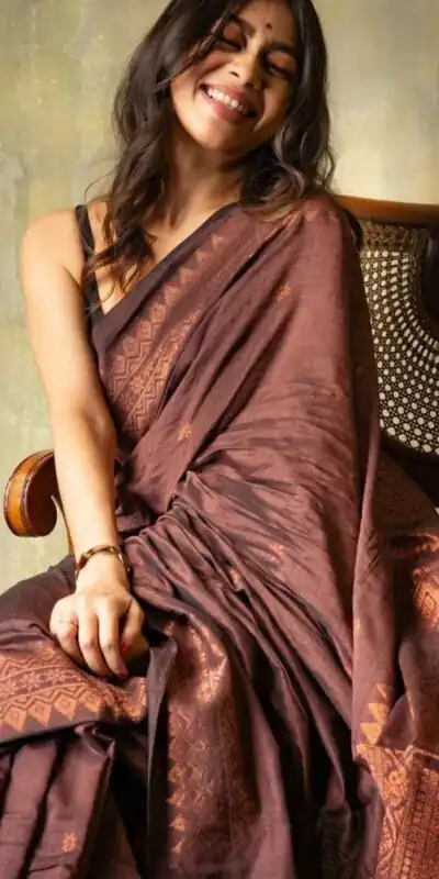 Brown Soft Lichi Silk Border Lace Saree | Sarees, Bollywood Sarees, Creative Sarees, Designer Sarees, Embroidered Sarees, Ethnic Saree, Modern Digital sarees, Party Wear Sarees