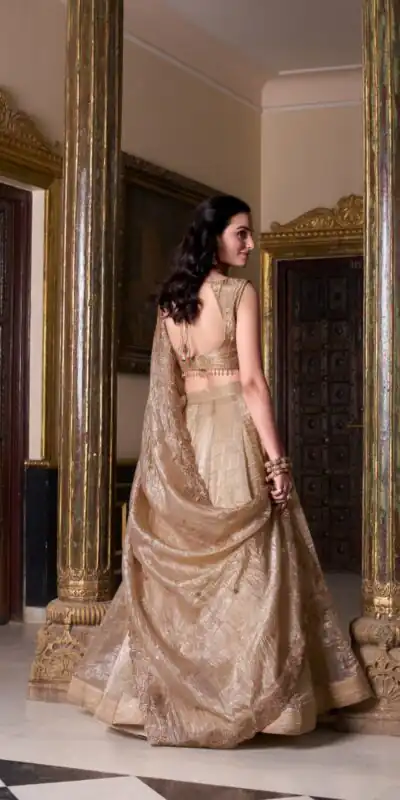 Chiku Gold Crush Plain Lehenga Choli | Lehenga, Bollywood Lehenga, Creative Lehenga, Designer Lehenga, Embroidered Lehenga, Party Wear Lehenga