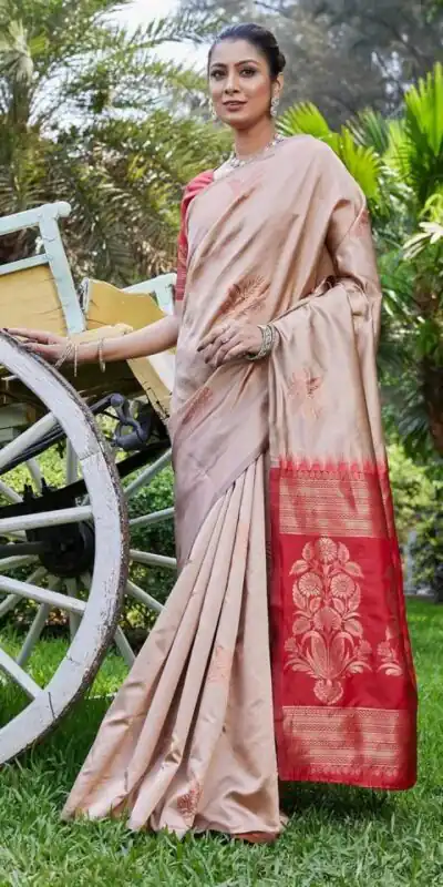Chiku Lichi Silk Lace Border Saree | Sarees, Bollywood Sarees, Creative Sarees, Designer Sarees, Embroidered Sarees, Ethnic Saree, Modern Digital sarees, Party Wear Sarees