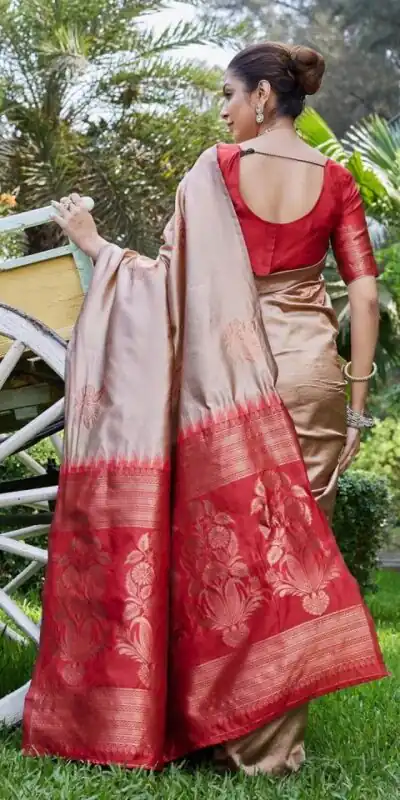 Chiku Lichi Silk Lace Border Saree | Sarees, Bollywood Sarees, Creative Sarees, Designer Sarees, Embroidered Sarees, Ethnic Saree, Modern Digital sarees, Party Wear Sarees