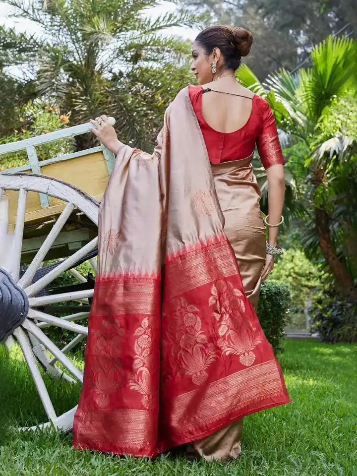 Chiku Lichi Silk Lace Border Saree | Sarees, Bollywood Sarees, Creative Sarees, Designer Sarees, Embroidered Sarees, Ethnic Saree, Modern Digital sarees, Party Wear Sarees