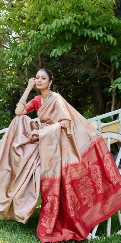 Chiku Lichi Silk Lace Border Saree | Sarees, Bollywood Sarees, Creative Sarees, Designer Sarees, Embroidered Sarees, Ethnic Saree, Modern Digital sarees, Party Wear Sarees