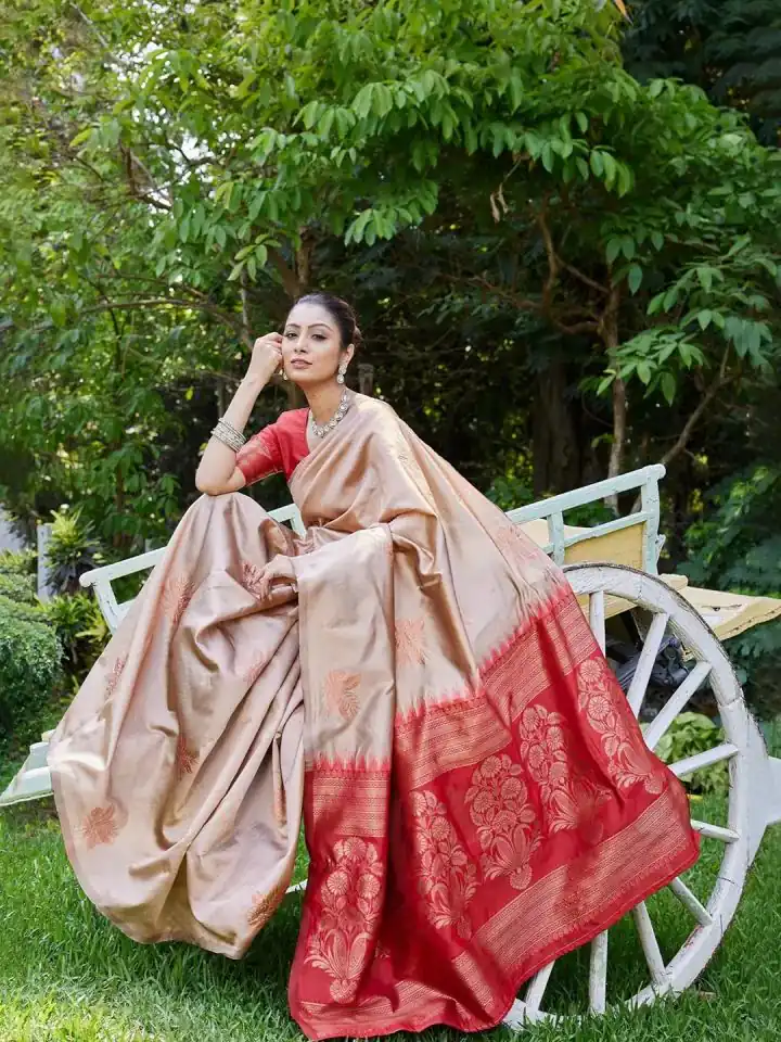 Chiku Lichi Silk Lace Border Saree | Sarees, Bollywood Sarees, Creative Sarees, Designer Sarees, Embroidered Sarees, Ethnic Saree, Modern Digital sarees, Party Wear Sarees