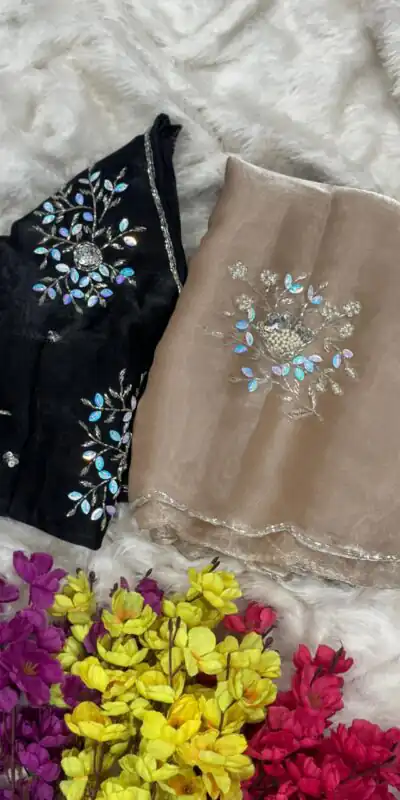 Chiku Soft Jimmy Chuu Lace Border Saree | Sarees, Bollywood Sarees, Creative Sarees, Designer Sarees, Embroidered Sarees, Ethnic Saree, Modern Digital sarees, Party Wear Sarees