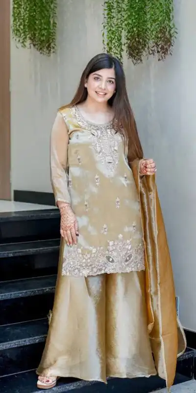 DC 114 Chiku Fandy Satin Salwar Suit with Embroidery Work & Lace Work. Exclusive Offer ₹1899. Delivery 4-6 Working Days. Shop now. | Jump Suits, Salwar suit, Casual Suits, Creative suits, Designer Suits, Palazzo Suits, Party Wear Suits, Patiala Suits, Straight Suits