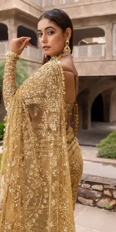 Golden Mono Net Embroidery Work Saree | Sarees, Bollywood Sarees, Creative Sarees, Designer Sarees, Embroidered Sarees, Ethnic Saree, Modern Digital sarees, Party Wear Sarees