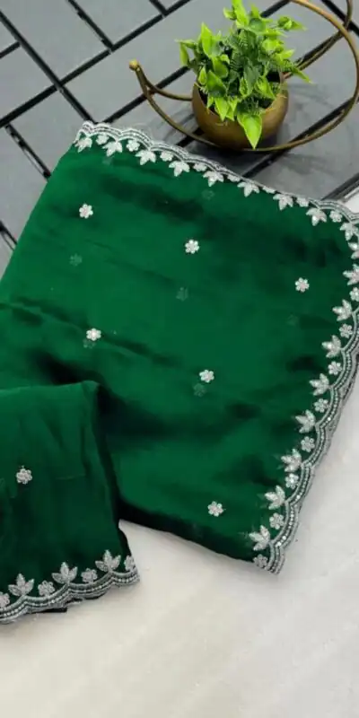 Green Rangoli Chiffon Embroidery Cut Work Saree | Sarees, Bollywood Sarees, Creative Sarees, Designer Sarees, Embroidered Sarees, Ethnic Saree, Modern Digital sarees, Party Wear Sarees
