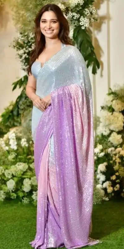 Grey Sequins Embroidered Saree | Sarees, Bollywood Sarees, Creative Sarees, Designer Sarees, Embroidered Sarees, Ethnic Saree, Modern Digital sarees, Party Wear Sarees