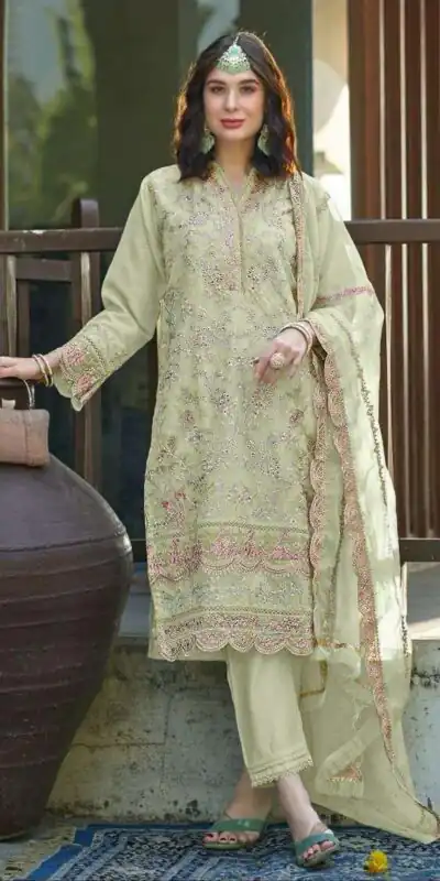 Light Green Organza With Embroidery Sequence Work Salwar Suit | Jump Suits, Salwar suit, Casual Suits, Creative suits, Designer Suits, Palazzo Suits, Party Wear Suits, Patiala Suits, Straight Suits