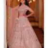 Light Pink Soft Net Embroidered Lehenga Choli | Lehenga, Bollywood Lehenga, Creative Lehenga, Designer Lehenga, Embroidered Lehenga, Party Wear Lehenga