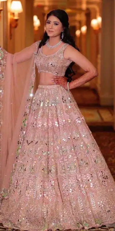 Light Pink Soft Net Embroidered Lehenga Choli | Lehenga, Bollywood Lehenga, Creative Lehenga, Designer Lehenga, Embroidered Lehenga, Party Wear Lehenga