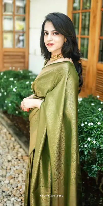 Mehndi Silk Jacquard Work On All Over Saree | Sarees, Bollywood Sarees, Creative Sarees, Designer Sarees, Embroidered Sarees, Ethnic Saree, Modern Digital sarees, Party Wear Sarees