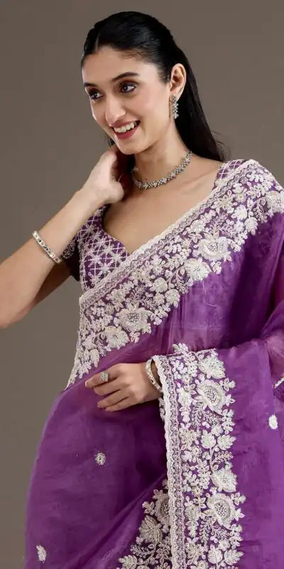 Purple Gold Crush Sequins Work Border Saree | Sarees, Bollywood Sarees, Creative Sarees, Designer Sarees, Embroidered Sarees, Ethnic Saree, Modern Digital sarees, Party Wear Sarees