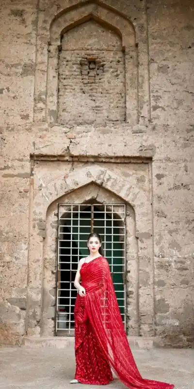 Red Georgette Embroidery Sequence Work Saree | Sarees, Bollywood Sarees, Creative Sarees, Designer Sarees, Embroidered Sarees, Ethnic Saree, Modern Digital sarees, Party Wear Sarees