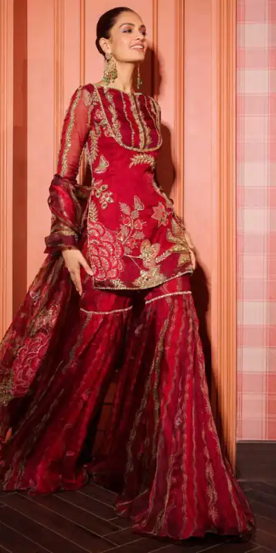 Red Soft Organza Embroidery Mirror Work Salwar Suit | Jump Suits, Salwar suit, Casual Suits, Creative suits, Designer Suits, Palazzo Suits, Party Wear Suits, Patiala Suits, Straight Suits
