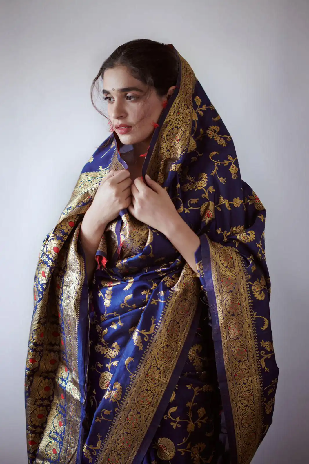Royal Blue Banarsari Silk With Lace Border Saree | Sarees, Bollywood Sarees, Creative Sarees, Designer Sarees, Embroidered Sarees, Ethnic Saree, Modern Digital sarees, Party Wear Sarees