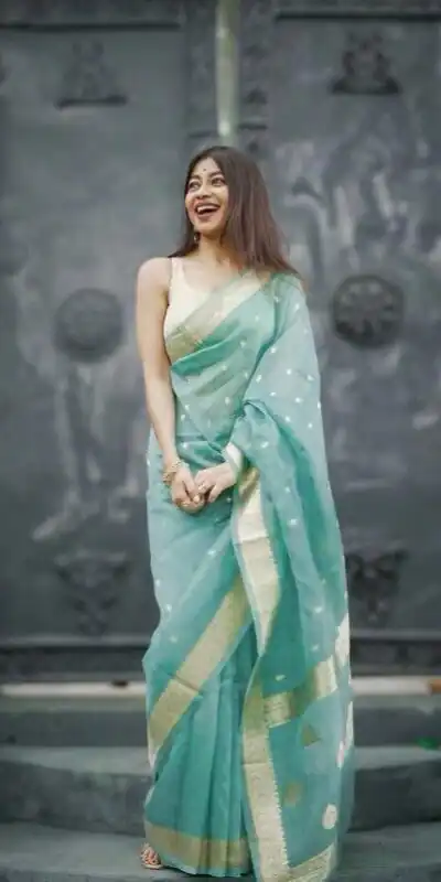 Sky Blue Soft Lilan Slab Weaving Work Saree | Sarees, Bollywood Sarees, Creative Sarees, Designer Sarees, Embroidered Sarees, Ethnic Saree, Modern Digital sarees, Party Wear Sarees