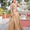 Solid Chiku Gold Crush Embroider Work Lehenga Choli | Lehenga, Bollywood Lehenga, Creative Lehenga, Designer Lehenga, Embroidered Lehenga, Party Wear Lehenga