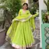RTC 6048 Parrot Green | Parrot Tabby Organza Silk Gown with Hand Work & Mirror Work. Special Price ₹2549. Delivery 4-6 Working Days. Shop now. | Gowns, Bollywood Gowns, Creative Gowns, Designer Gowns, Embroidered Gowns, Party Wear Gowns